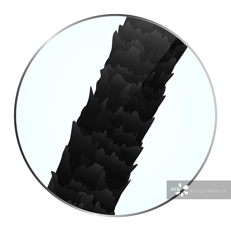 受损的毛囊表面特写图片素材