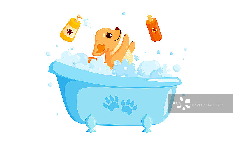 宠物香波沐浴中的狗狗图片素材