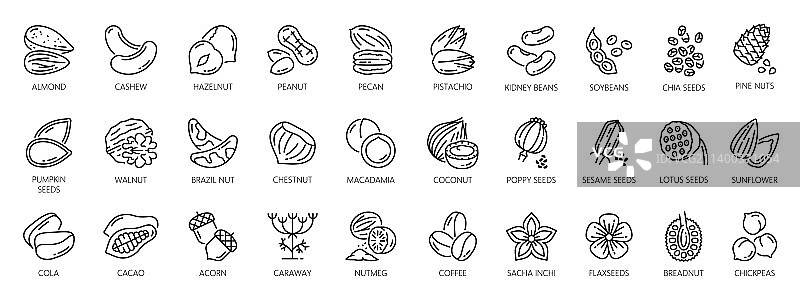 坚果轮廓图标种子和豆类有机食品图片素材