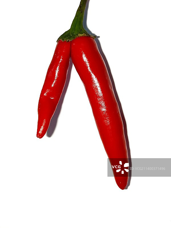连体红辣椒图片素材