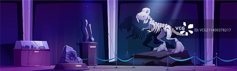 夜晚古生物博物馆与恐龙骨架图片素材