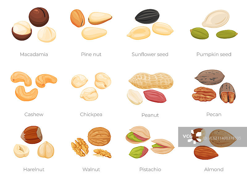 不同坚果和种子的健康组合图片素材