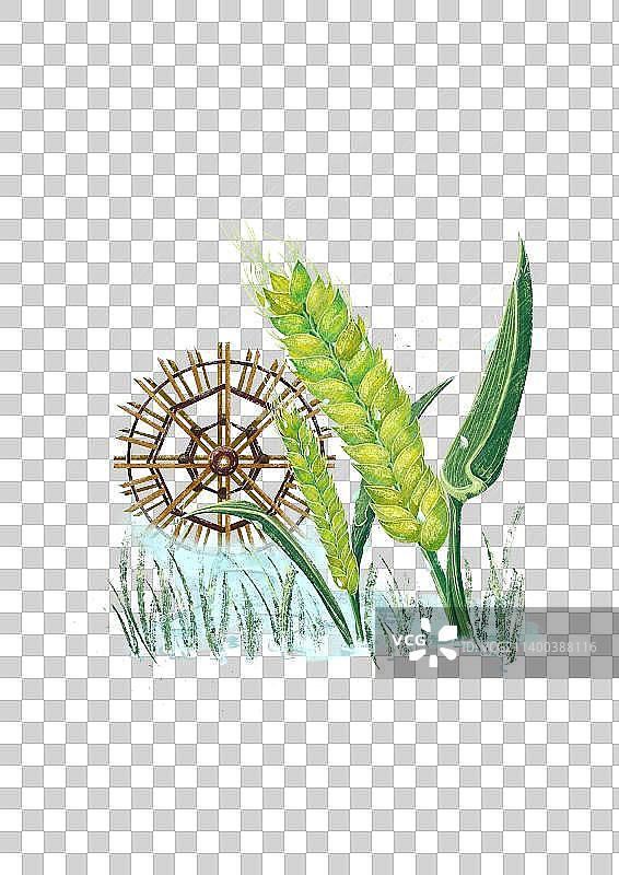 二十四节气之小满传统水车小麦稻谷插画图片素材
