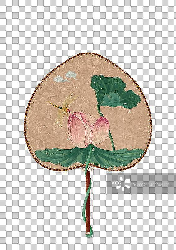 二十四节气之夏至传统团扇荷花荷叶蜻蜓插画图片素材