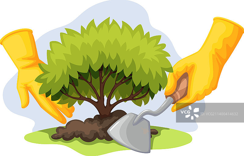 庭院灌木栽培图片素材