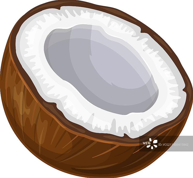 半个椰子图片素材
