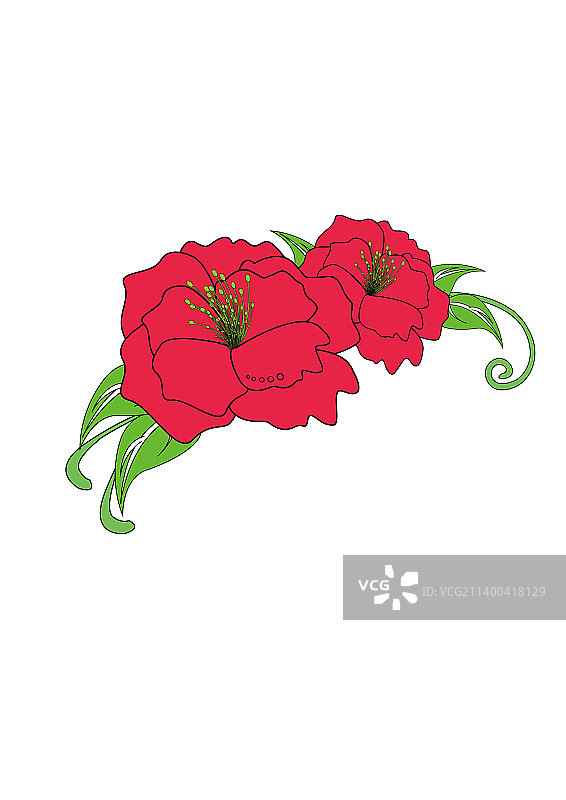 花朵植物鲜花图片素材