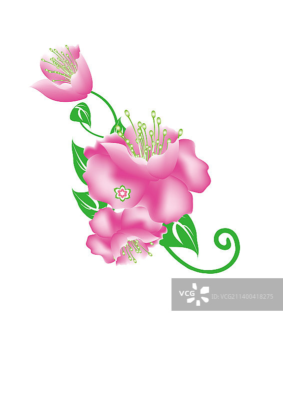 花朵植物鲜花图片素材