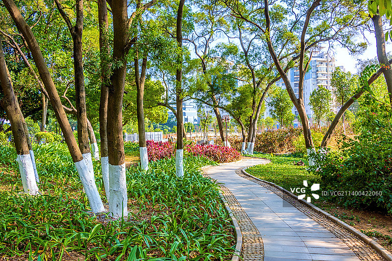 中国广西来宾市相思园图片素材