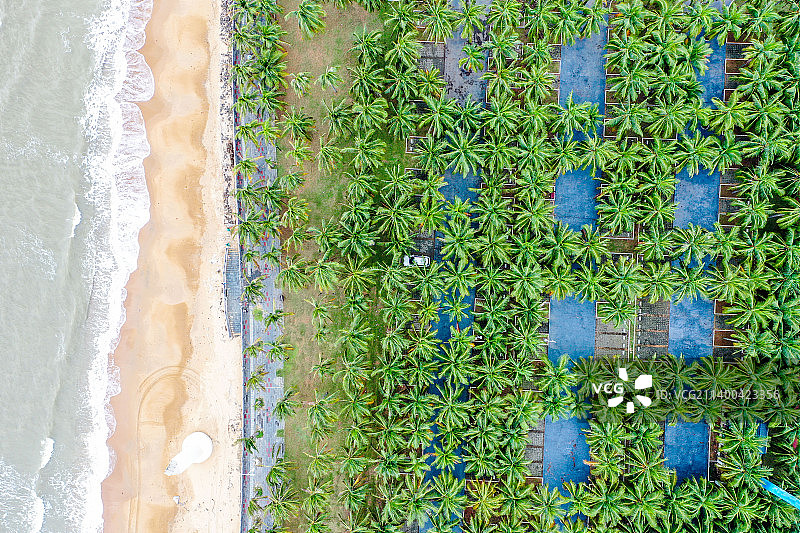 航拍海南海口假日海滩旅游景区 椰树沙滩图片素材