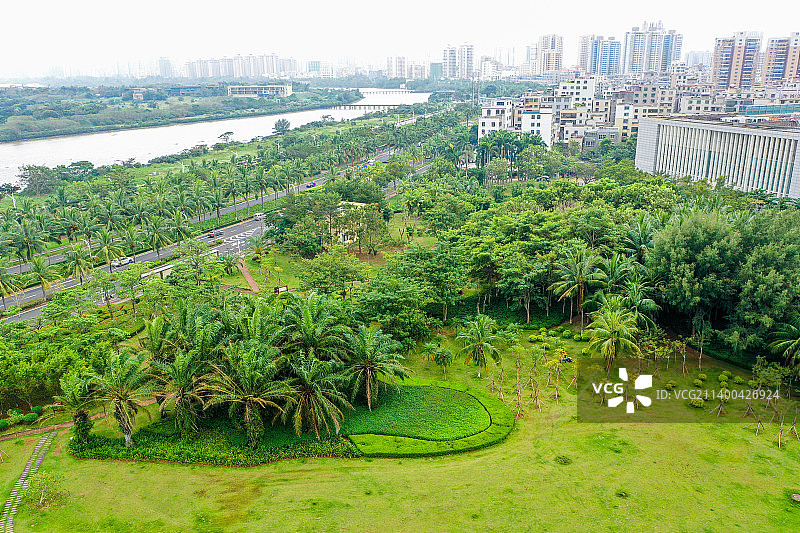 航拍海南海口街心广场绿地 热带植物绿化带图片素材
