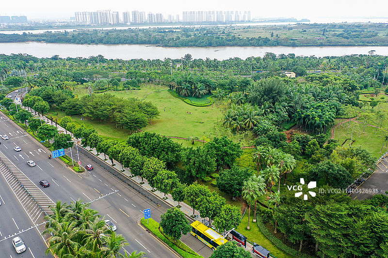 航拍海南海口街心广场绿地 热带植物绿化带图片素材