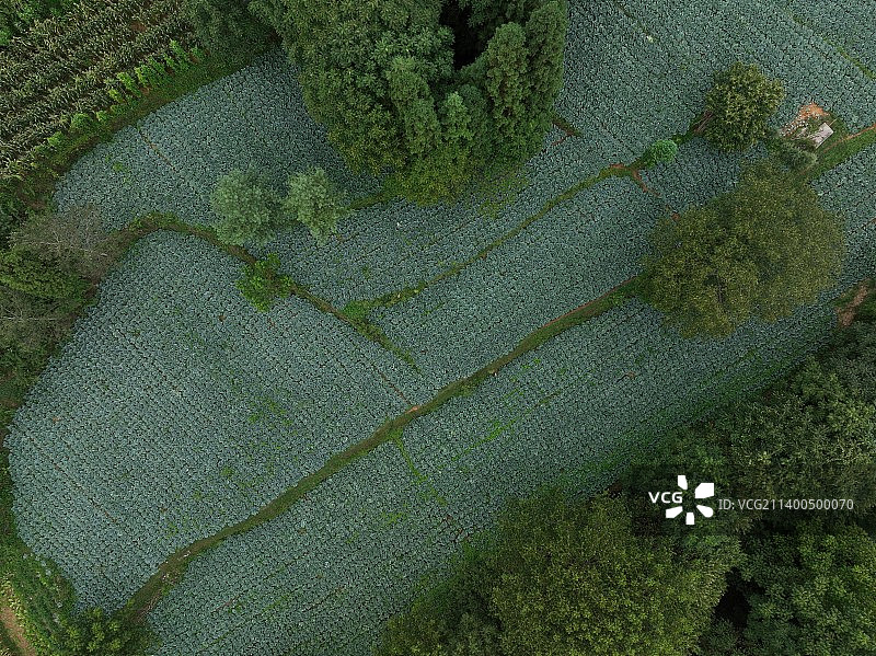 《贵州毕节赫章韭菜坪》图片素材