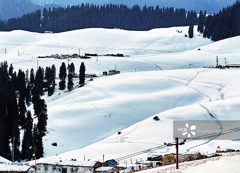 起伏的雪原图片素材