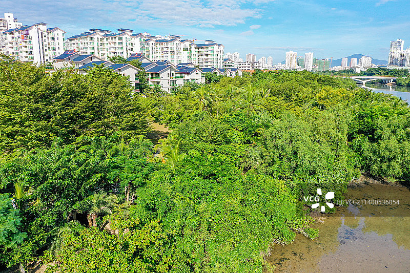 航拍海南三亚红树林公园 三亚河畔 三亚城市乐园图片素材