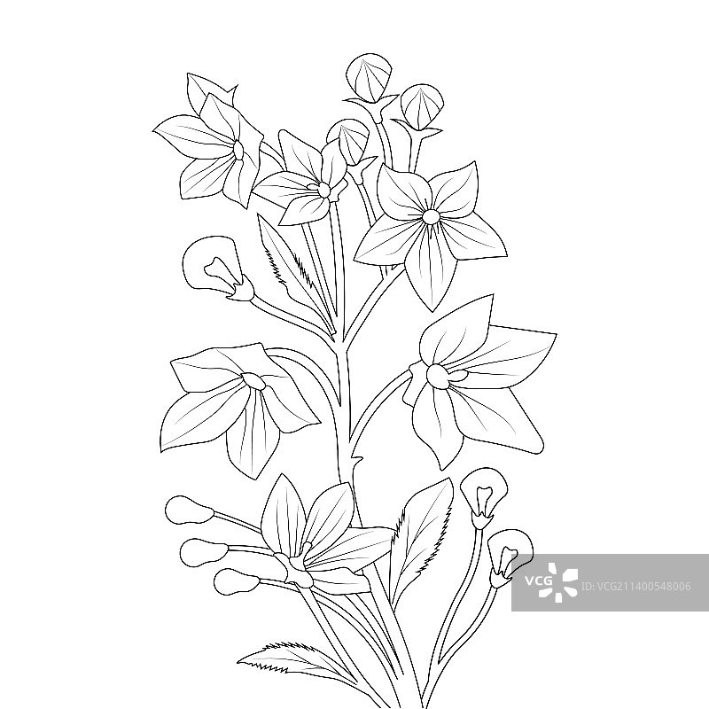 气球花卉着色页线条艺术图片素材