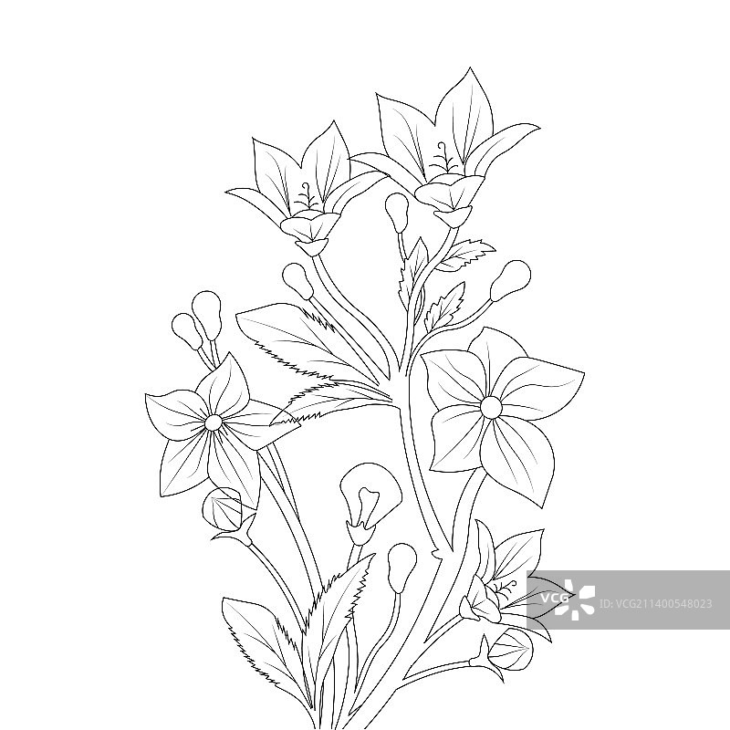 气球花卉着色页线条艺术图片素材