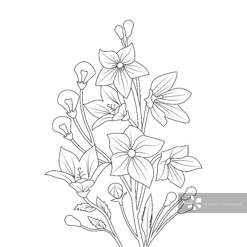 气球花卉着色页线条艺术图片素材