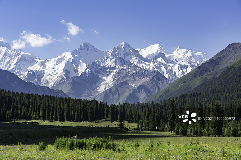 新疆伊犁夏塔旅游景区，夏塔古道风景区图片素材