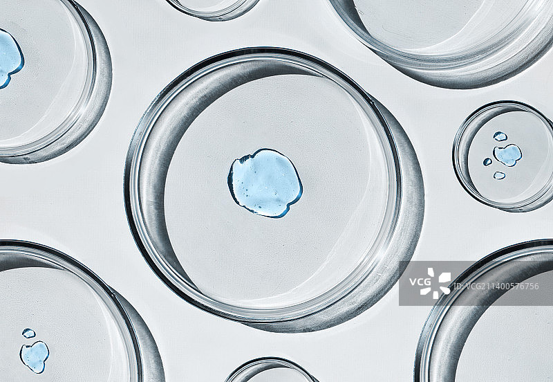 盛有水滴的各种实验室玻璃培养皿，血清图片素材