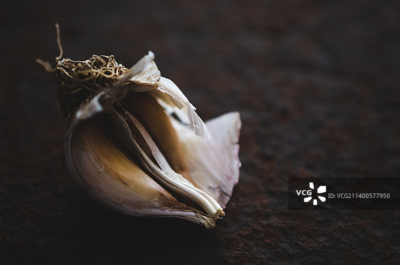 阿根廷桌子上的贝壳特写图片素材