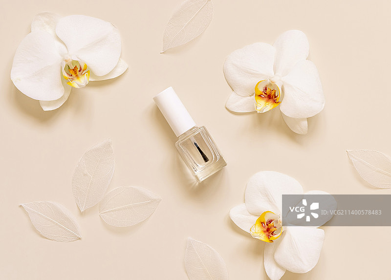 白色花朵桌面俯视照片图片素材