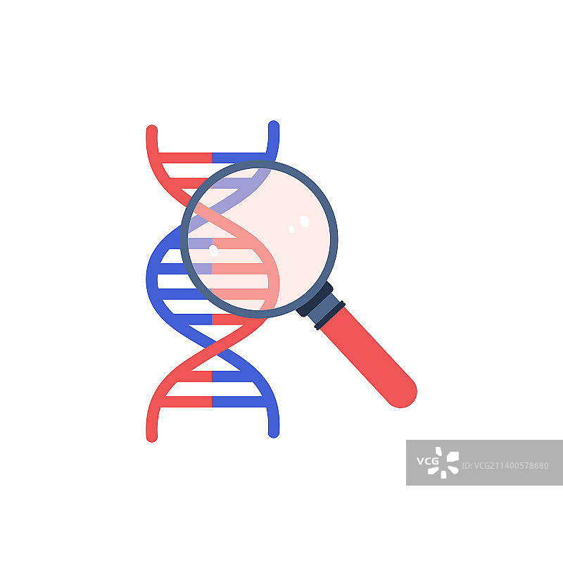 带放大镜的抽象DNA螺旋研究图片素材