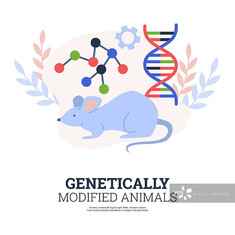 转基因动物海报：老鼠图片素材