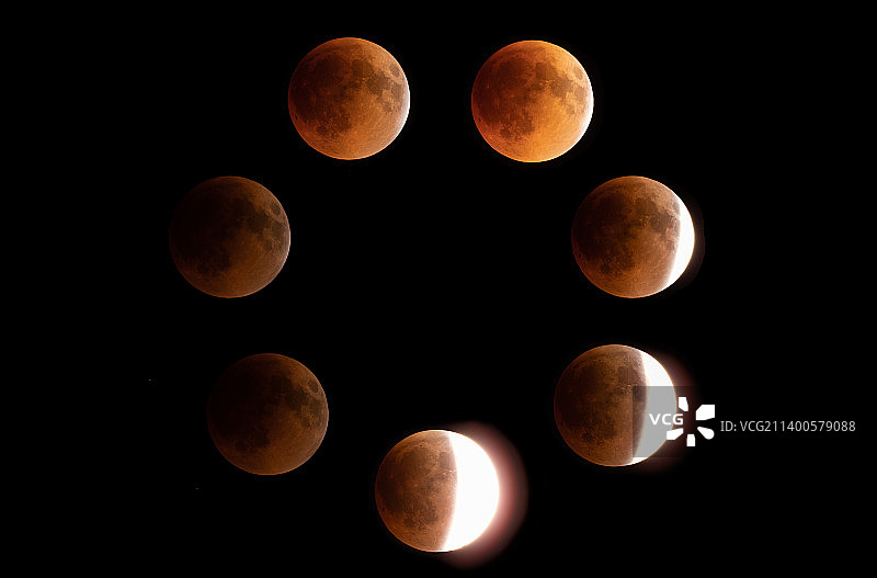 美国佛罗里达州卢茨的满月图片素材