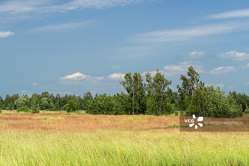 白俄罗斯田野风光图片素材