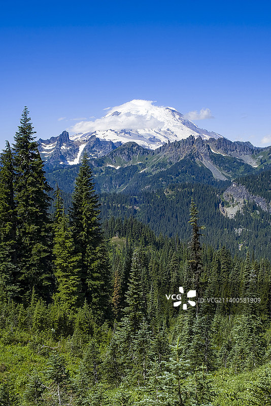 从纳奇斯环线小径和太平洋山脊步道观雷尼尔山，美国图片素材