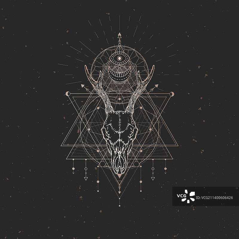 狍子头骨图片素材