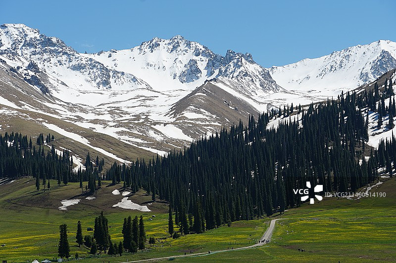 5月北疆游 那拉提草原图片素材