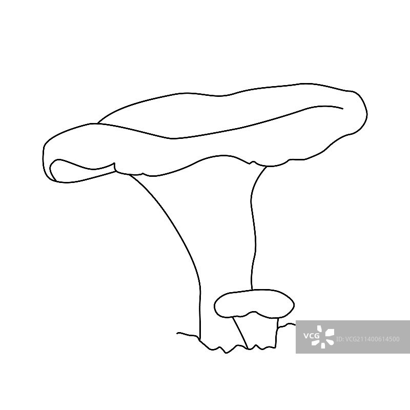蘑菇线条艺术标志纹身，高度细节线条图片素材