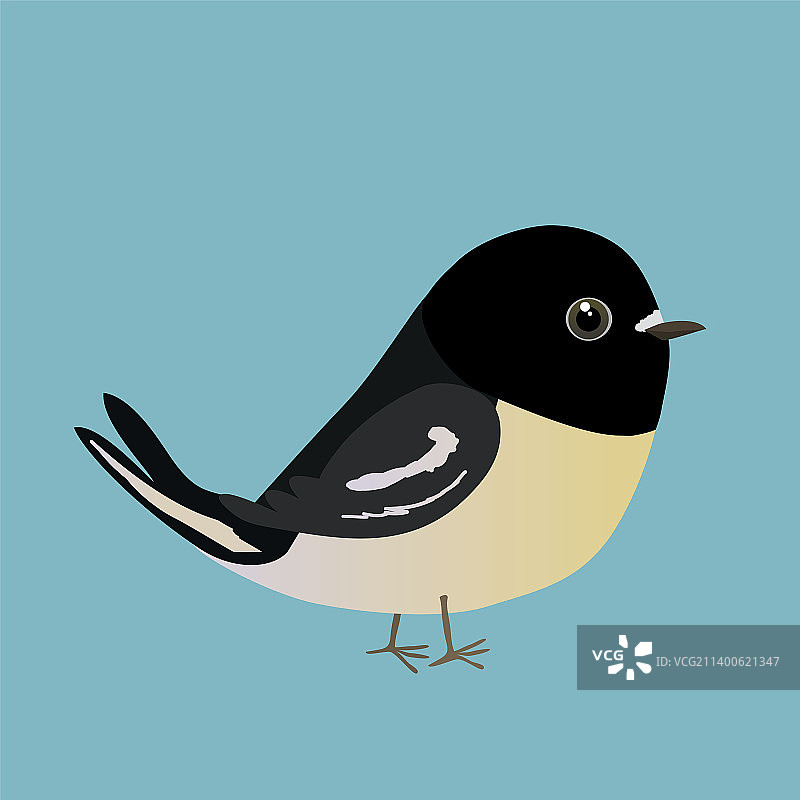 可爱的卡通山雀图片素材