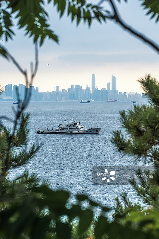 透过树林的城市海洋风景图片素材