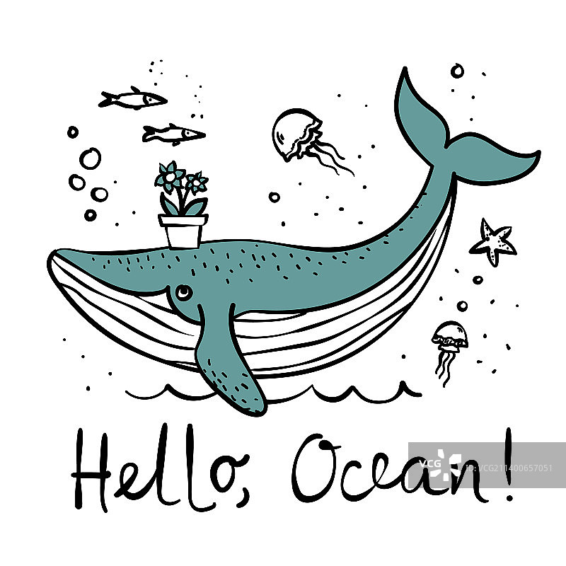 可爱鲸鱼纸牌图片素材