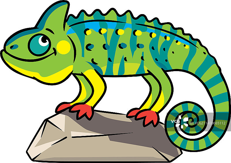 石头上的有趣变色龙图片素材