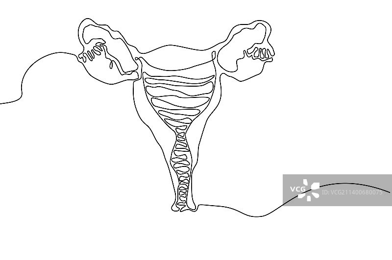 手绘子宫图标连续线条画图片素材