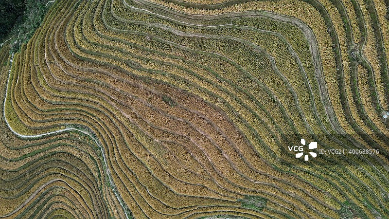 千层天梯——金坑红瑶梯田图片素材