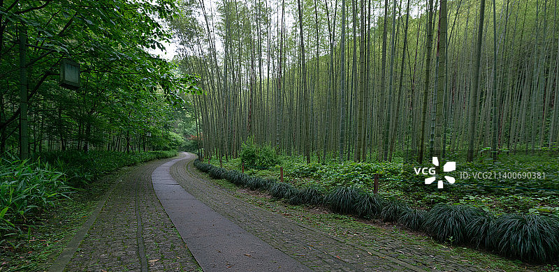 杭州西湖风景区云栖竹径风景图片素材