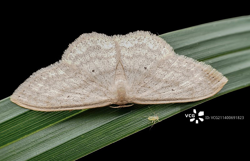 绿色出行图片素材