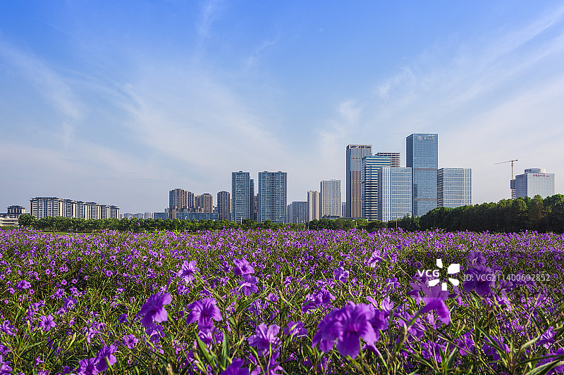 城市花卉景观图片素材