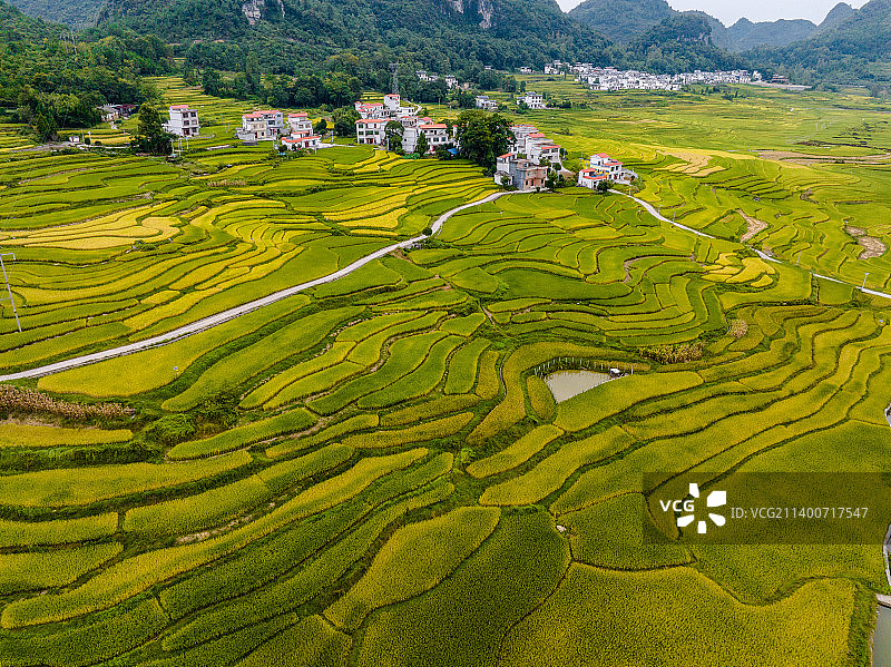 《广西河池南丹洼地梯田》图片素材