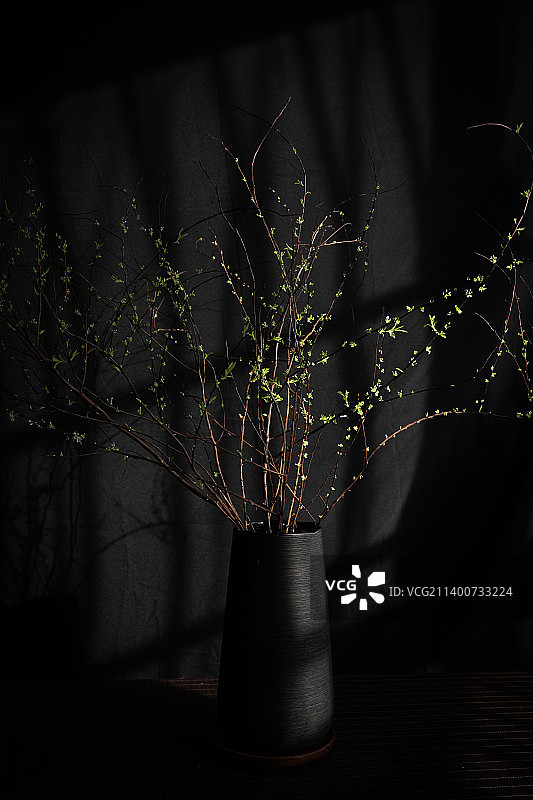 中国风插花图片素材