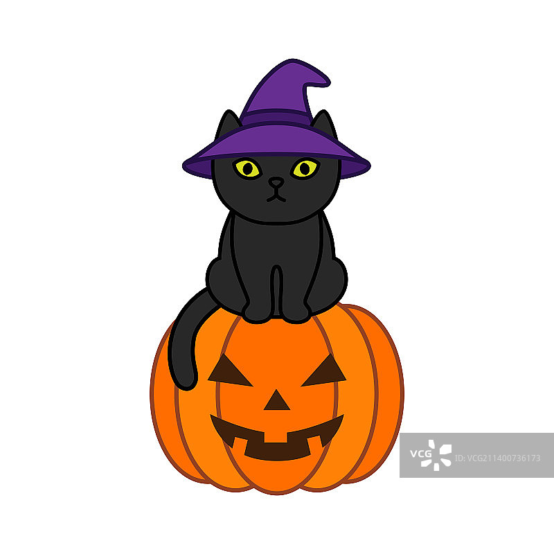 戴着巫师帽的黑猫坐在万圣节上图片素材