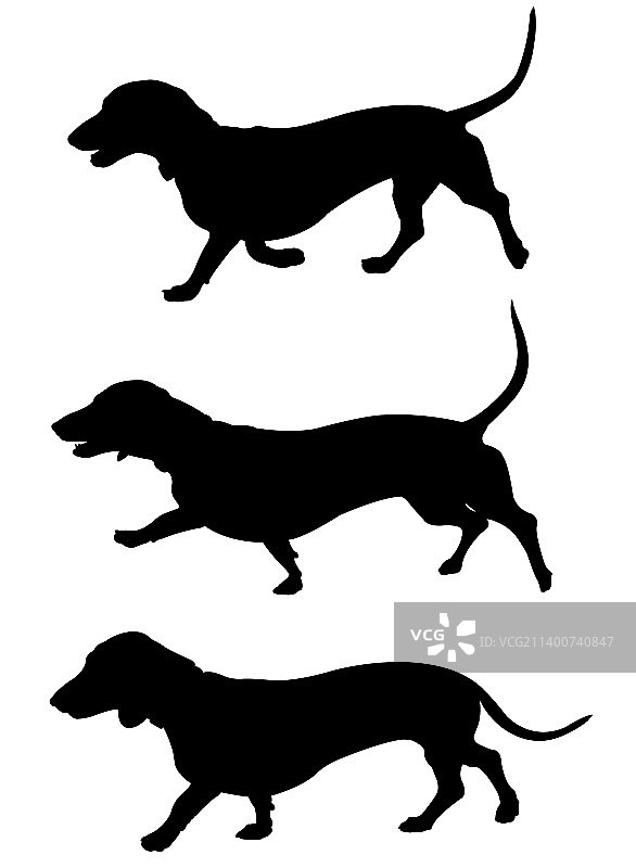 腊肠犬散步剪影-艺术作品图片素材