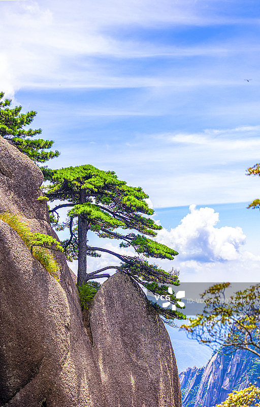 安徽黄山迎客松图片素材