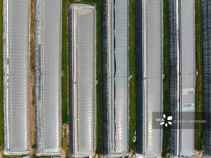 蔬菜大棚特写图片素材