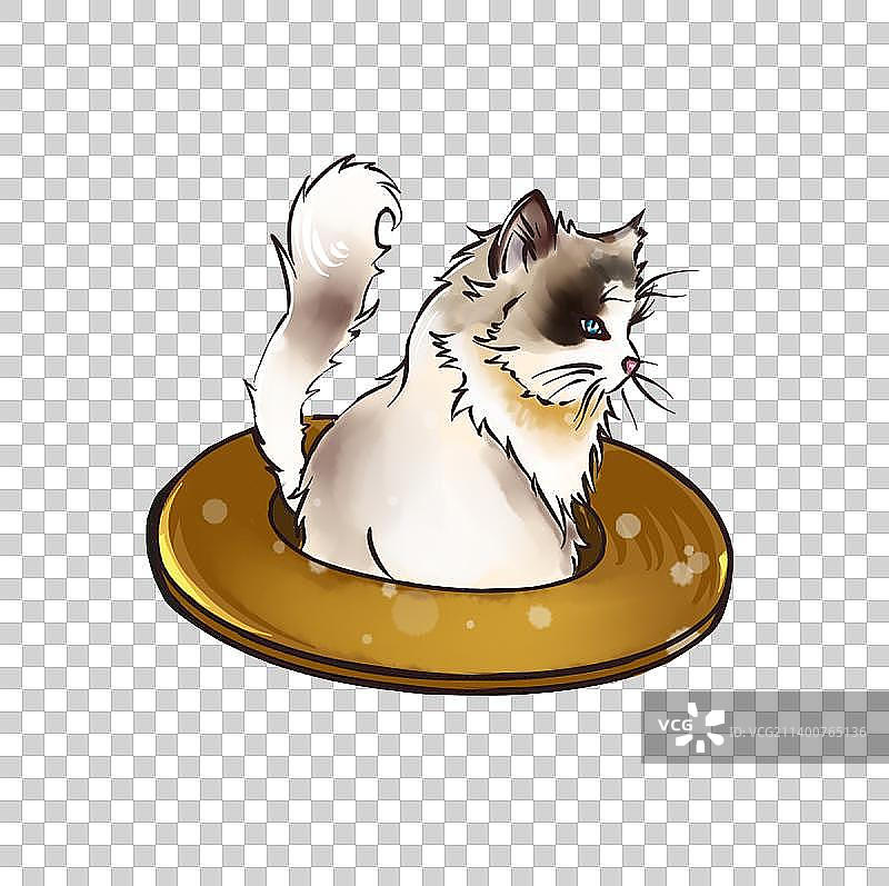 布偶猫图片素材